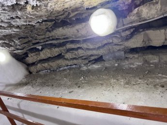 Природоохранные мероприятия в музее