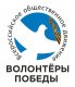 Волонтёры Победы